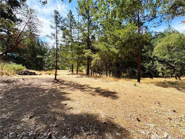 4101 Chinquapin Drive, Willits, CA 95490