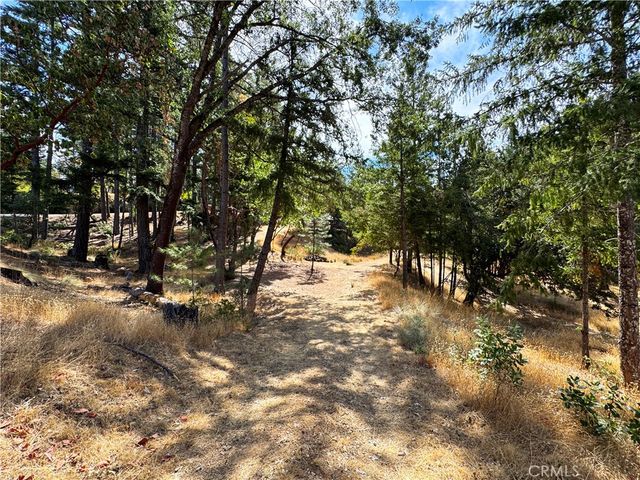 4101 Chinquapin Drive, Willits, CA 95490
