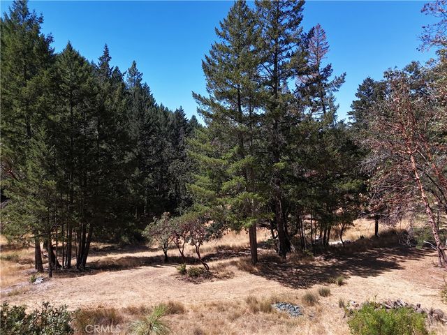 4101 Chinquapin Drive, Willits, CA 95490