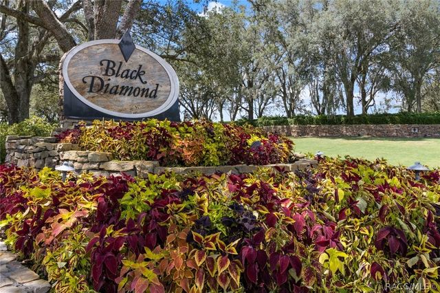3405 N Spyglass Village Path, Lecanto, FL 34461