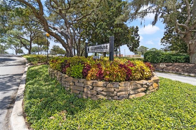 3405 N Spyglass Village Path, Lecanto, FL 34461