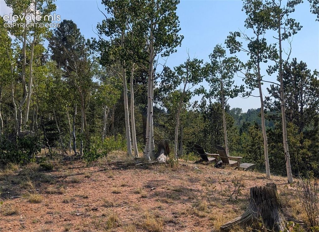 Fairview Drive, Cripple Creek, CO 80813 — exterior