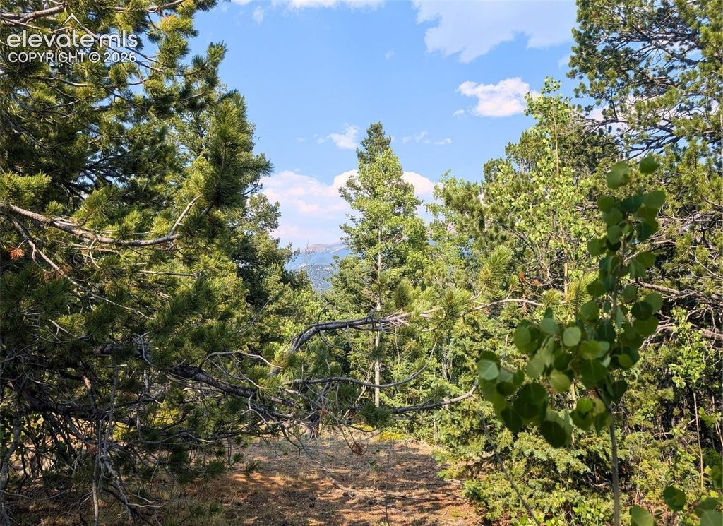 Fairview Drive, Cripple Creek, CO 80813 — photo 2