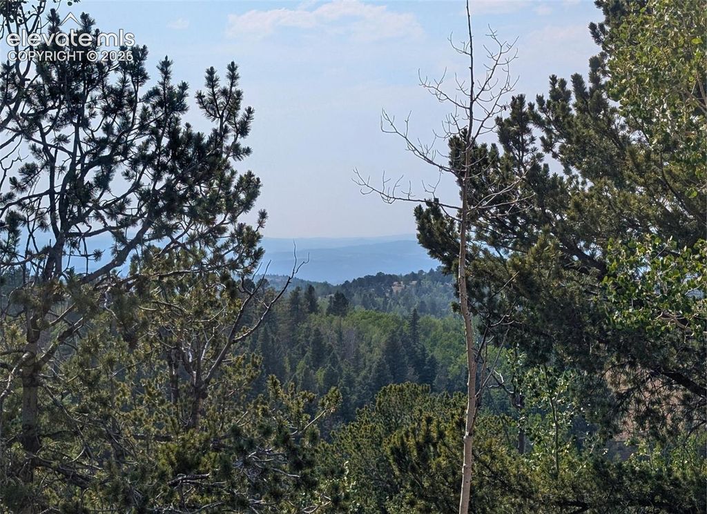 Fairview Drive, Cripple Creek, CO 80813 — photo 3