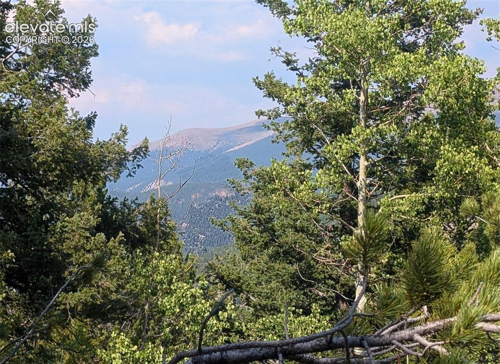 Fairview Drive, Cripple Creek, CO 80813 — photo 4