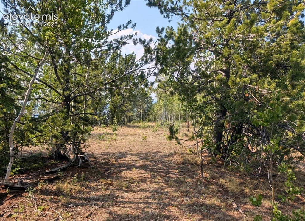 Fairview Drive, Cripple Creek, CO 80813 — photo 5