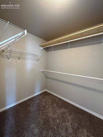 4974 Janga Drive, Colorado Springs, CO 80924