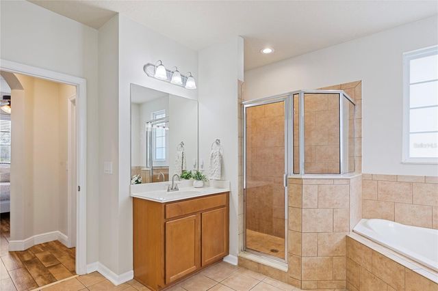 8205 NECTAR RIDGE COURT, Odessa, FL 33556