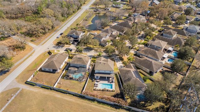 8205 NECTAR RIDGE COURT, Odessa, FL 33556