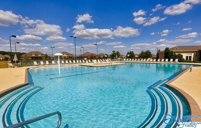 324 Falling Water Lane, Madison, AL 35756