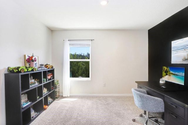 3044 SUNCOAST PLAINS DRIVE, Odessa, FL 33556