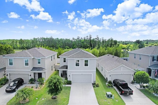 3044 SUNCOAST PLAINS DRIVE, Odessa, FL 33556