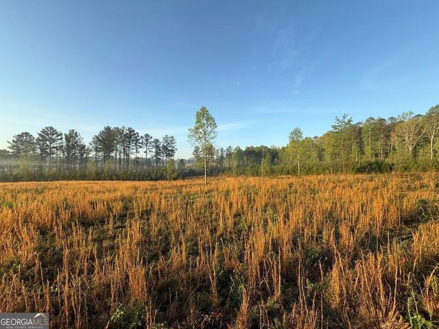 0 Spiva Road, Temple, GA 30179