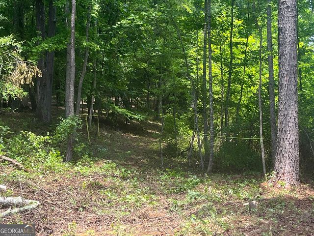 0 Spiva Road, Temple, GA 30179