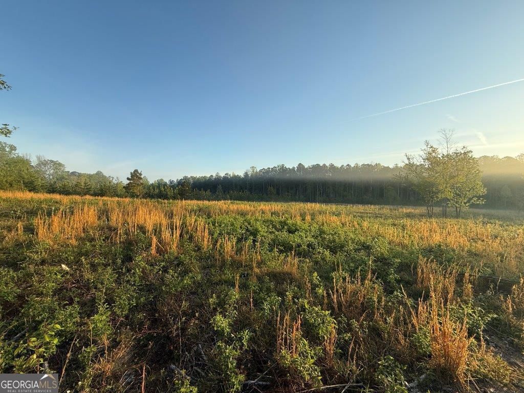 0 Spiva Road, Temple, GA 30179
