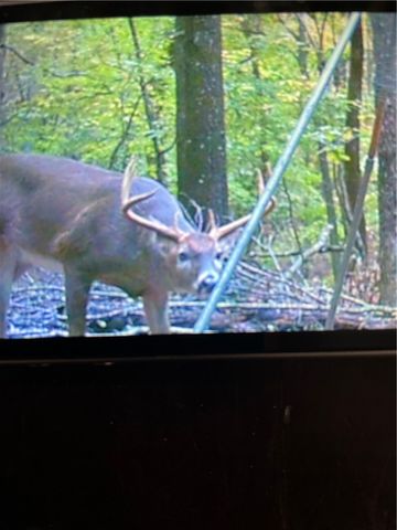 13829 French Road, West Fork, AR 72774