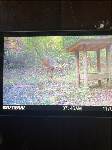 13829 French Road, West Fork, AR 72774