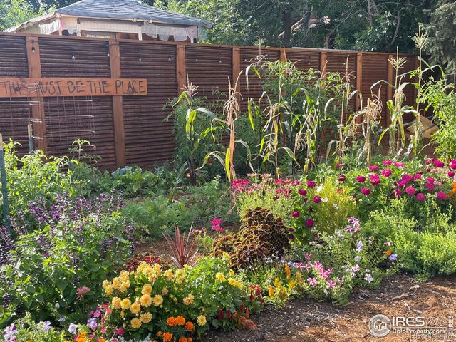 3225 Arnett Street, Boulder, CO 80304