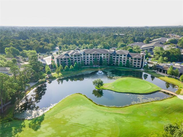 46 N Autumnwood Way, The Woodlands, TX 77380