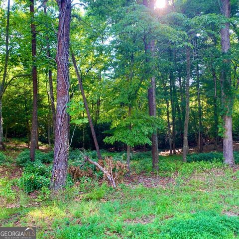 LOT 19 Brasstown Trails, Warne, NC 28909