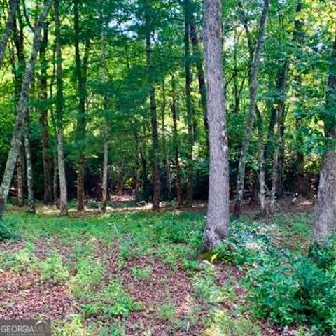 LOT 19 Brasstown Trails, Warne, NC 28909