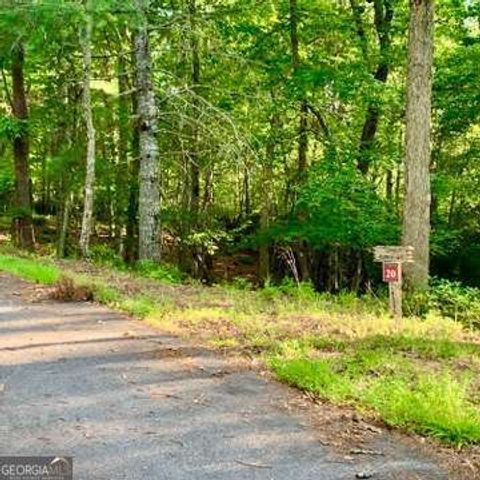 LOT 19 Brasstown Trails, Warne, NC 28909