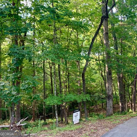 LOT 19 Brasstown Trails, Warne, NC 28909