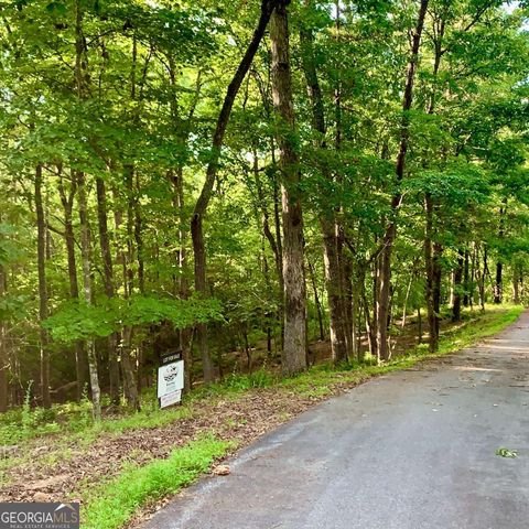 LOT 19 Brasstown Trails, Warne, NC 28909