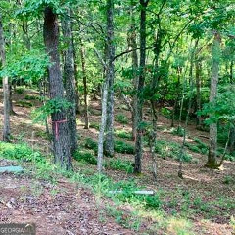 LOT 19 Brasstown Trails, Warne, NC 28909