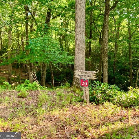 LOT 19 Brasstown Trails, Warne, NC 28909
