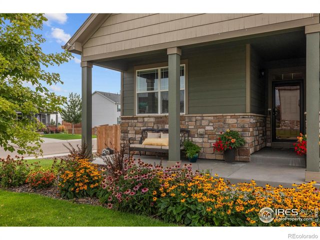 939 Keneally Court, Windsor, CO 80550