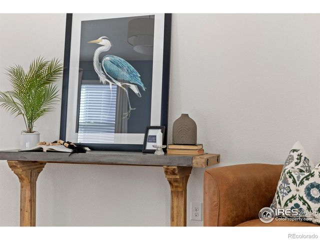 939 Keneally Court, Windsor, CO 80550