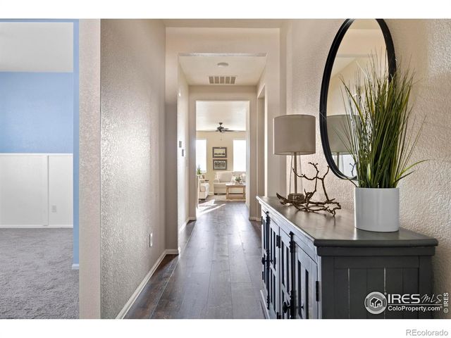 939 Keneally Court, Windsor, CO 80550