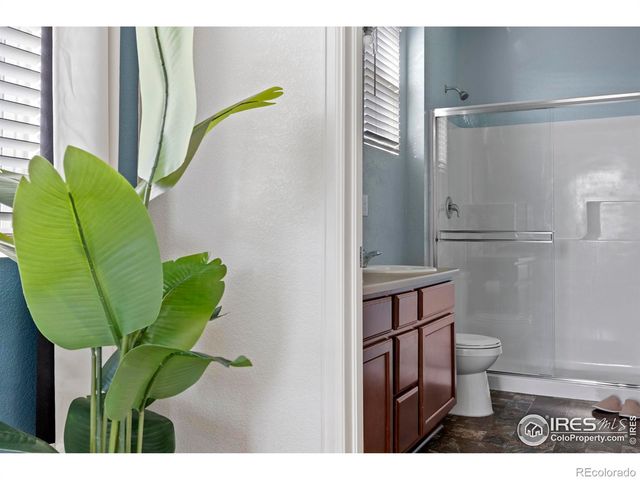 939 Keneally Court, Windsor, CO 80550