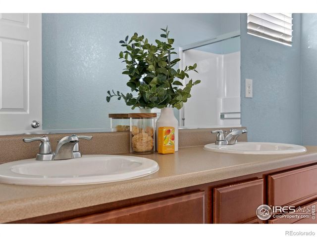 939 Keneally Court, Windsor, CO 80550