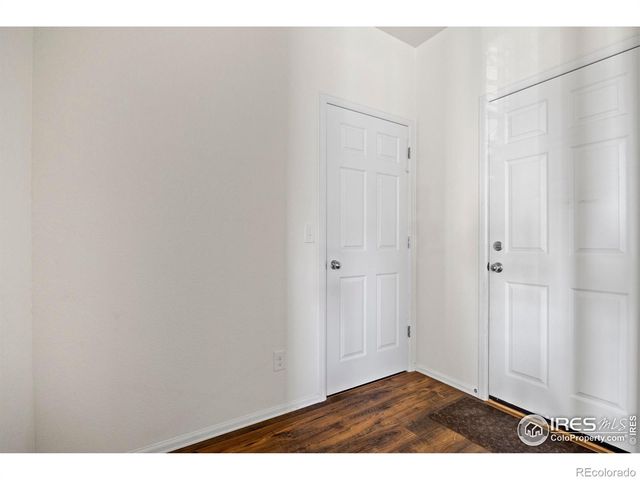 939 Keneally Court, Windsor, CO 80550