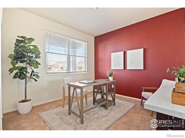 939 Keneally Court, Windsor, CO 80550