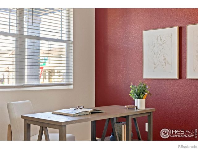 939 Keneally Court, Windsor, CO 80550