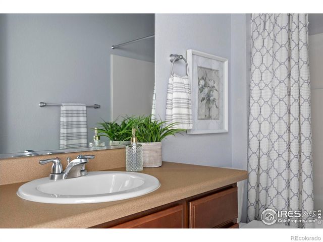 939 Keneally Court, Windsor, CO 80550