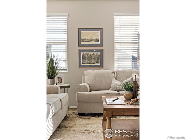 939 Keneally Court, Windsor, CO 80550