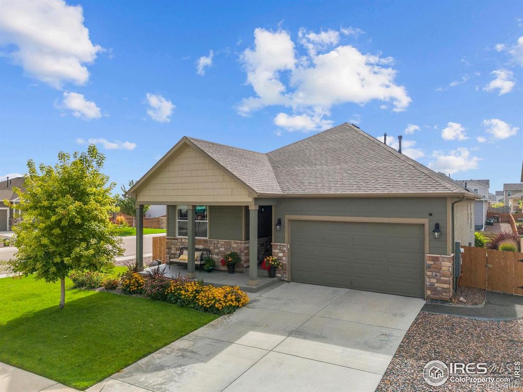 939 Keneally Court, Windsor, CO 80550