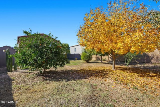 198 E MULE TRAIN Trail, San Tan Valley, AZ 85143