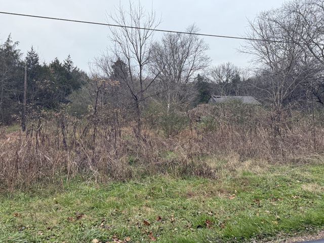 0 Lewis Rd, Santa Fe, TN 38482