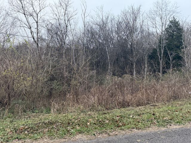 0 Lewis Rd, Santa Fe, TN 38482