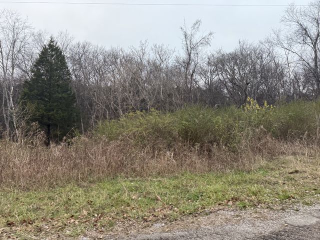 0 Lewis Rd, Santa Fe, TN 38482