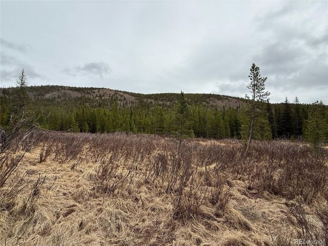111 Silver Creek Road, Idaho Springs, CO 80452