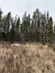 111 Silver Creek Road, Idaho Springs, CO 80452