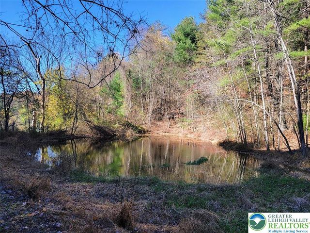 313 East Fireline Road, Parryville Boro, PA 18244