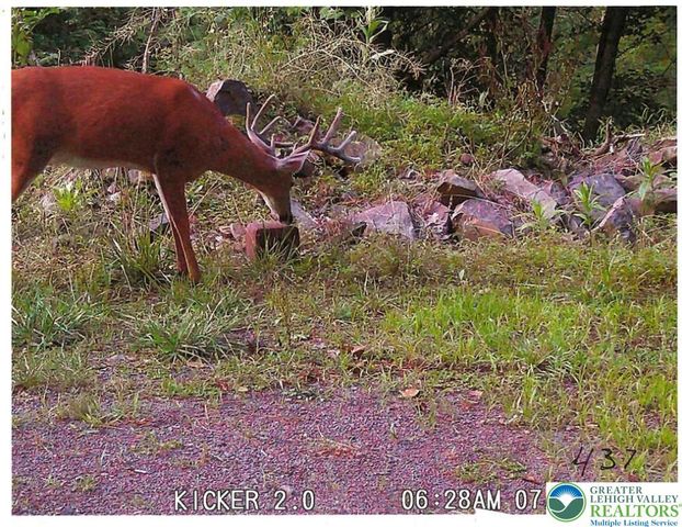 313 East Fireline Road, Parryville Boro, PA 18244