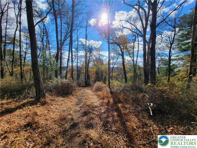 313 East Fireline Road, Parryville Boro, PA 18244